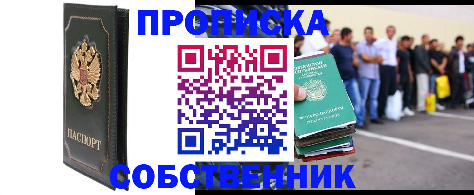 прописка поиск в Сольцах